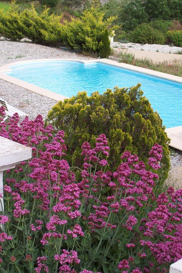 L'Ensoleillee Bed & Breakfast Rosans Bagian luar foto